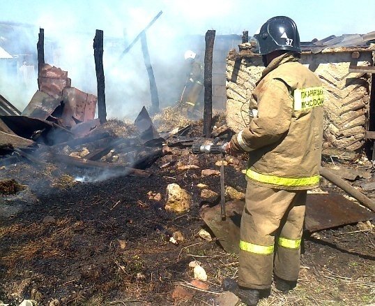 Пожар в Семилукском районе